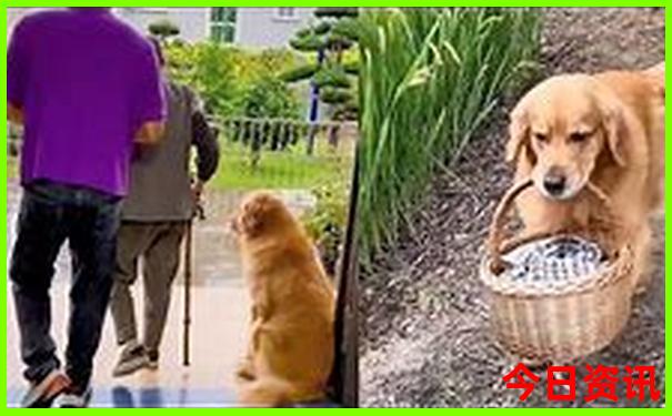 湖南有什么好玩的旅游景点